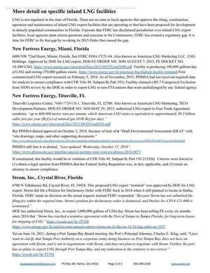 [NFE Miami LNG & Titusville LNG, Crystal River, Strom, Inc., LNG]