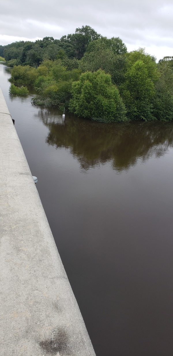 [Folsom Bridge, Little River 2021-08-05]