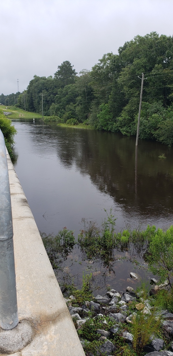 [Hagan Bridge, Withlacoochee River 2021-08-05]