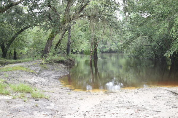 Knights Ferry Boat Ramp, Withlacoochee River 2021-08-05