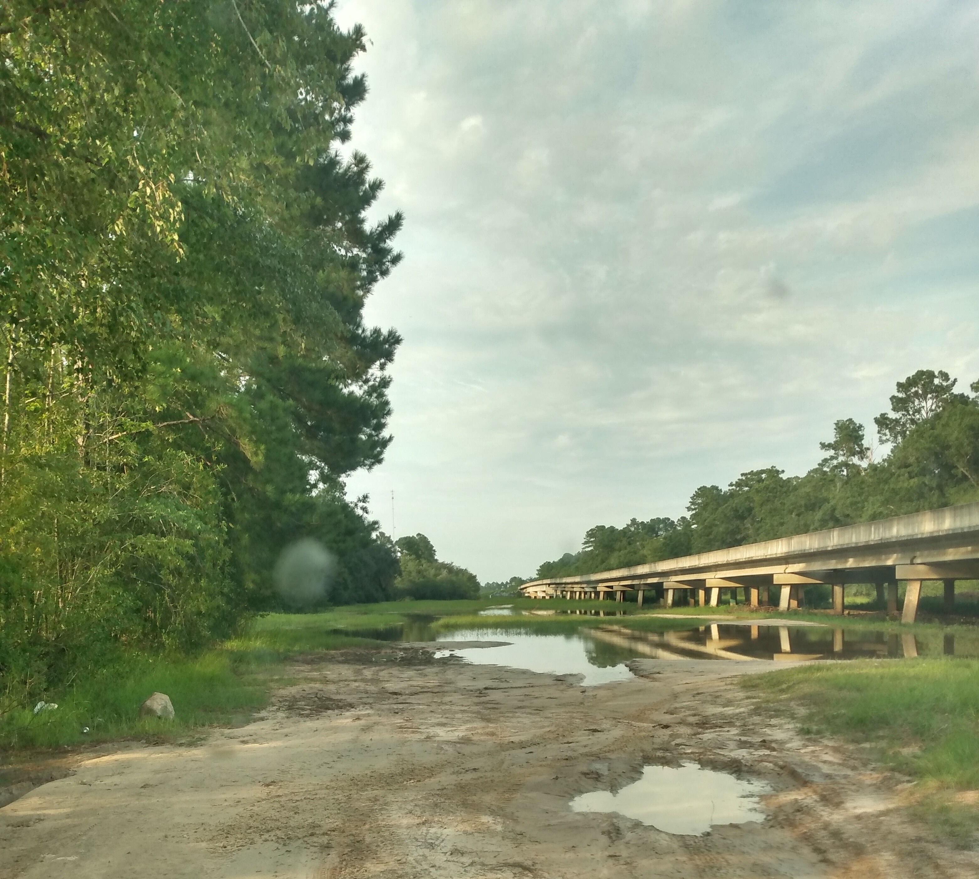 Willacochee Landing, Alapaha River 2021-08-05