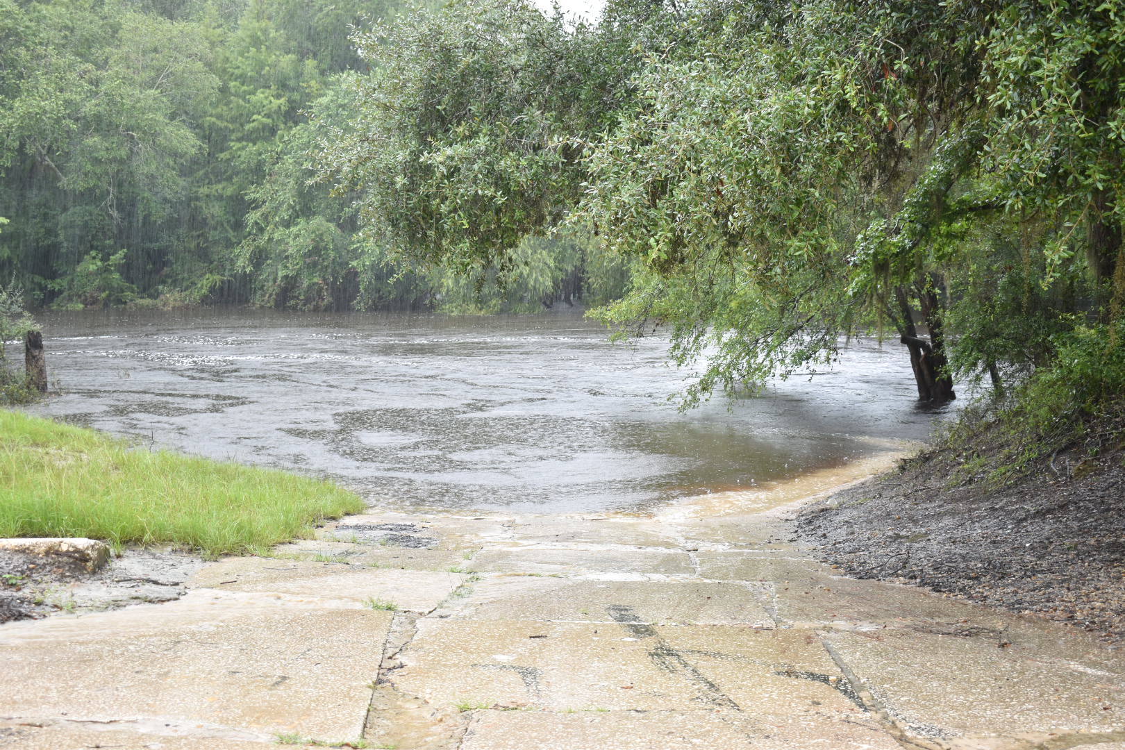 Nankin Boat Ramp, Withlacoochee River 2021-08-05