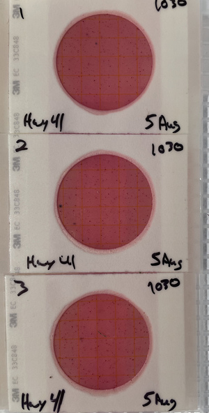 [Plates, US 41, Withlacoochee River 2021-08-05]