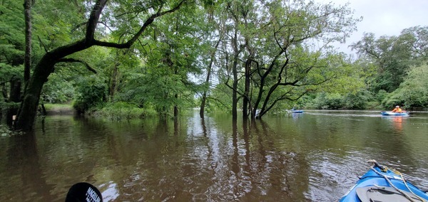 Slightly greenish spring water, 12:10:43, 30.6411780, -83.3365887