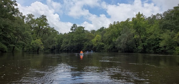 Around the first bend, 13:19:25, 30.6348194, -83.3092460