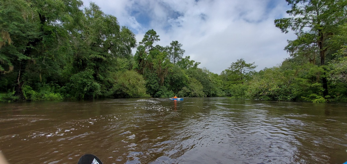 Upstream to McIntyre Spring, 11:38:11, 30.6406892, -83.3653128