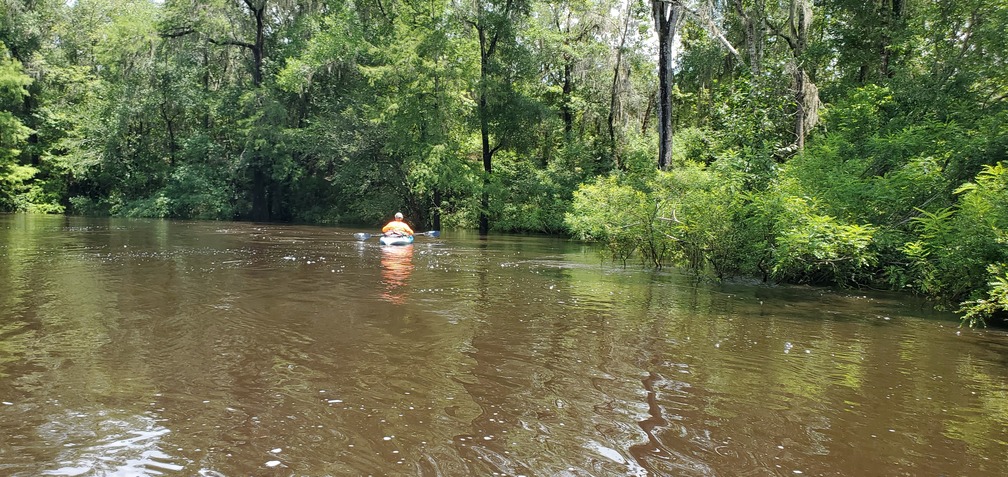 A little tannic acid river color, 13:59:28, 30.6260556, -83.2719441