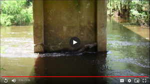 [Water Flow, Nankin Boat Ramp 2021-08-19]