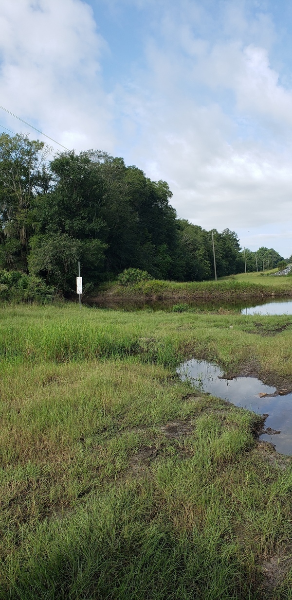 [Hagan Bridge Landing, Withlacoochee River @ GA 122 2021-08-25]