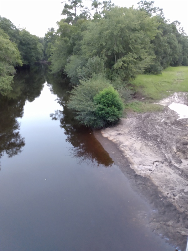 [Willacoochee Landing, Alapaha River @ GA 135 2021-08-25]