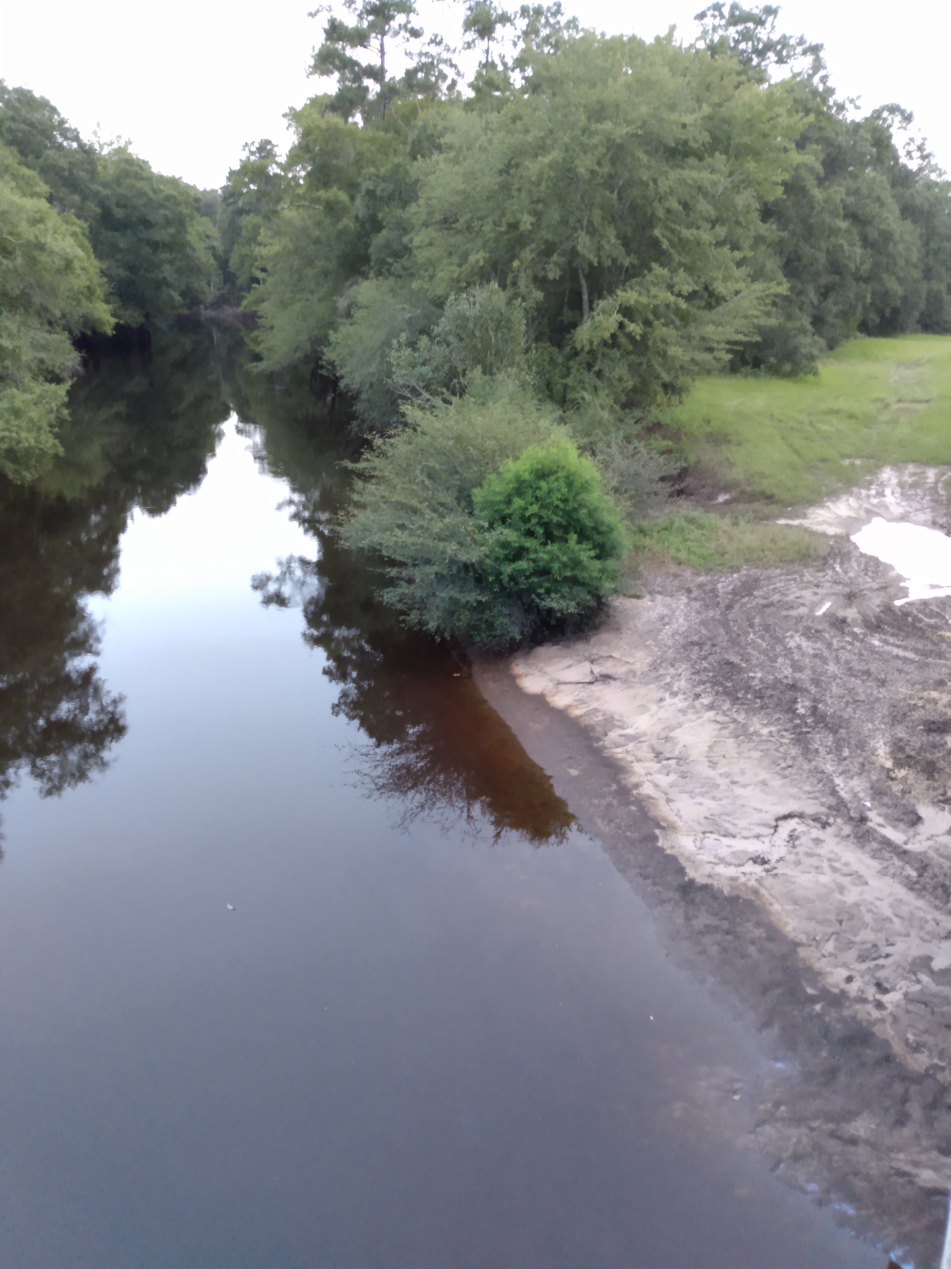 Willacoochee Landing, Alapaha River @ GA 135 2021-08-25