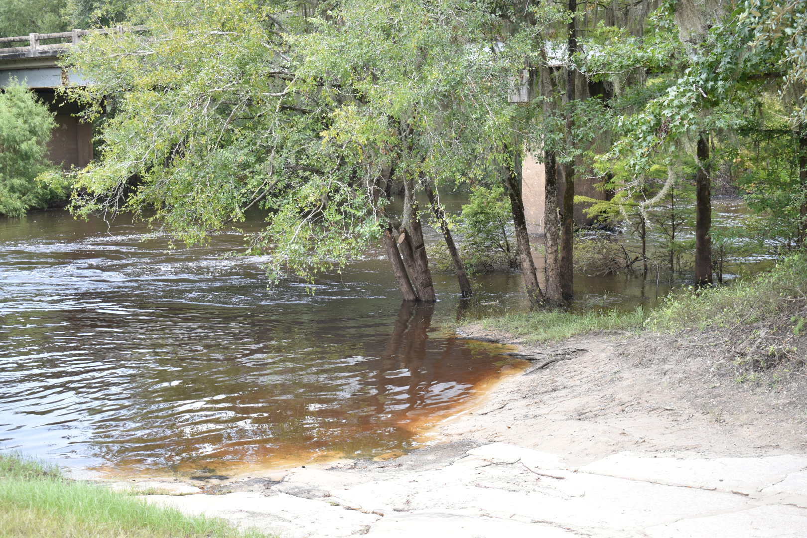 Nankin Boat Ramp, Withlacoochee River @ Clyattville-Nankin Road 2021-08-26