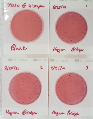 [Plates, Hagan Bridge Landing 2021-08-25]