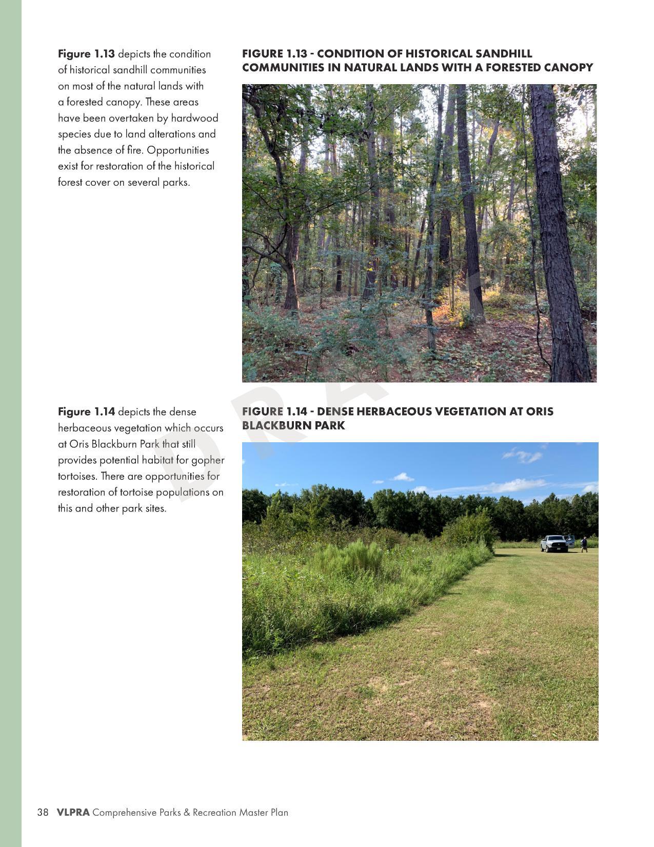 FIGURE 1.13 - CONDITION OF HISTORICAL SANDHILL COMMUNITIES IN NATURAL LANDS WITH A FORESTED CANOPY