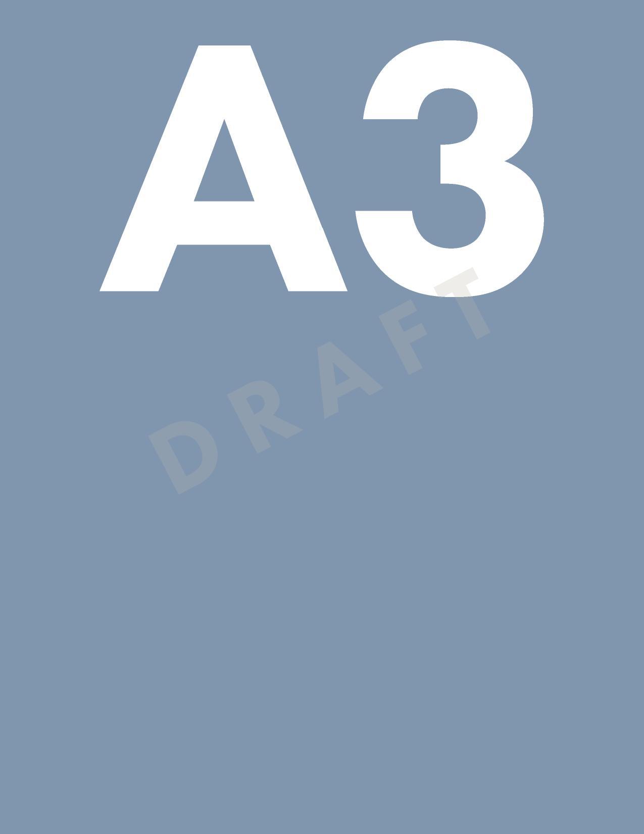 A3