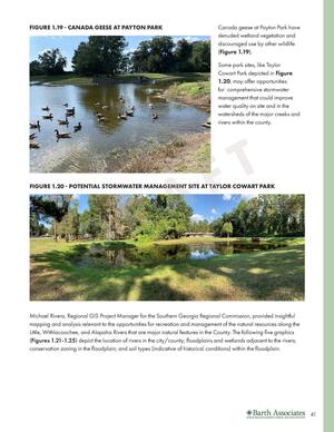 [FIGURE 1.19 - CANADA GEESE AT PAYTON PARK have denuded wetland vegetation and discouraged use by other wildlife]