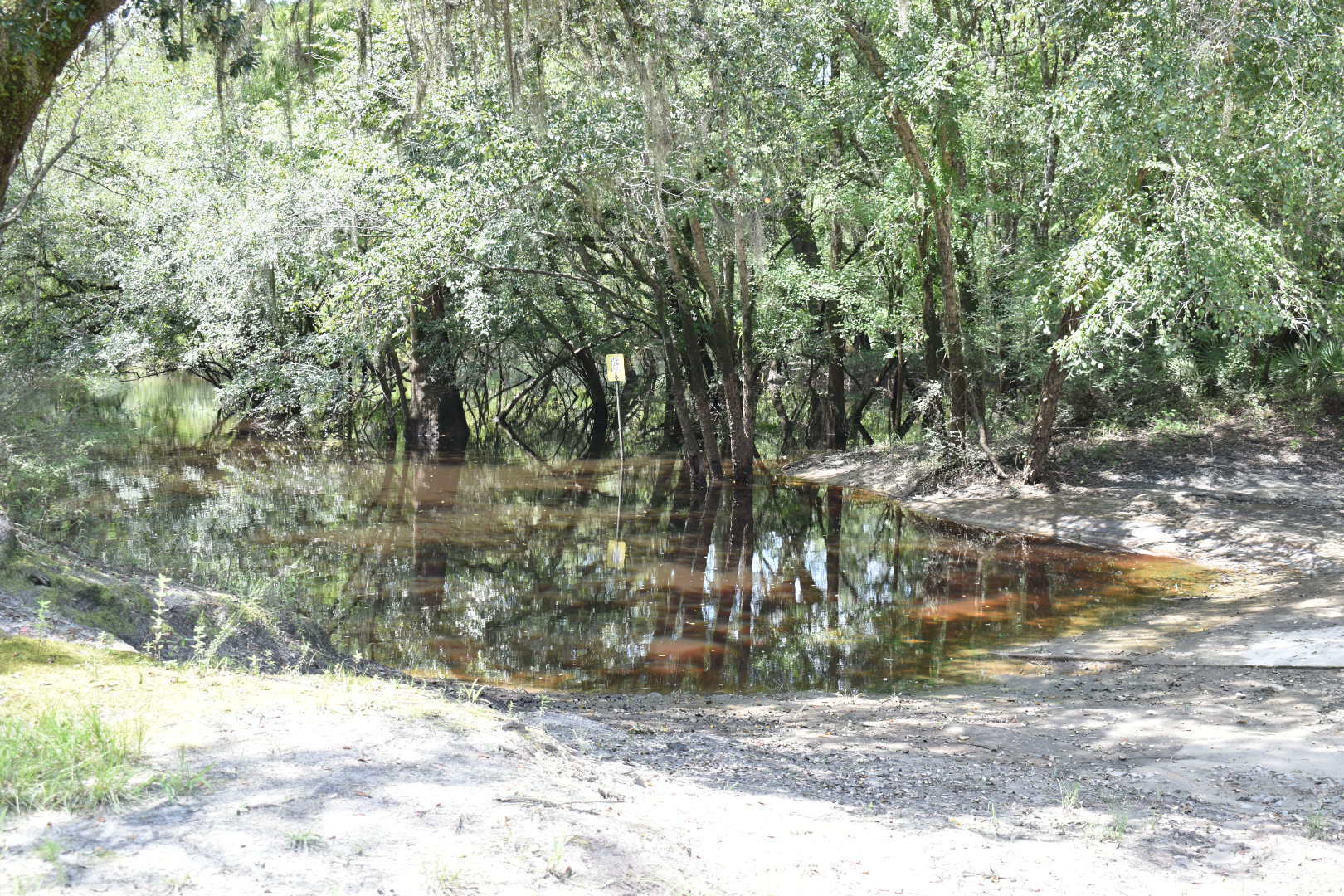 Knights Ferry Boat Ramp, Withlacoochee River 2021-09-02