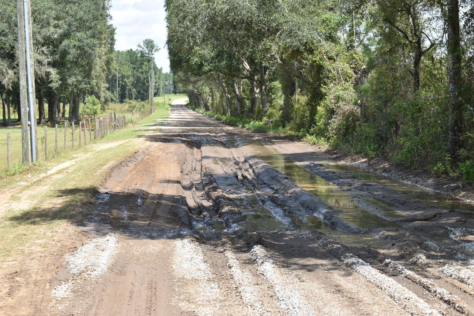 Mud Trap, Knights Ferry Road, Withlacoochee River 2021-09-02