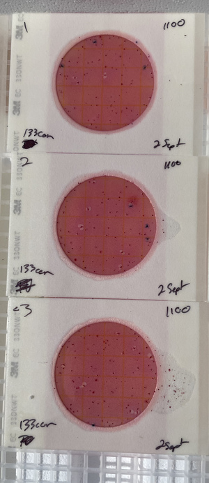 [Plates, GA 133 Landing]