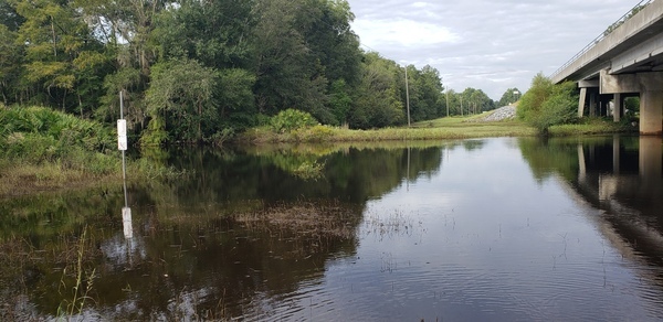 [Hagan Bridge Landing, Withlacoochee River @ GA 122 2021-09-15]