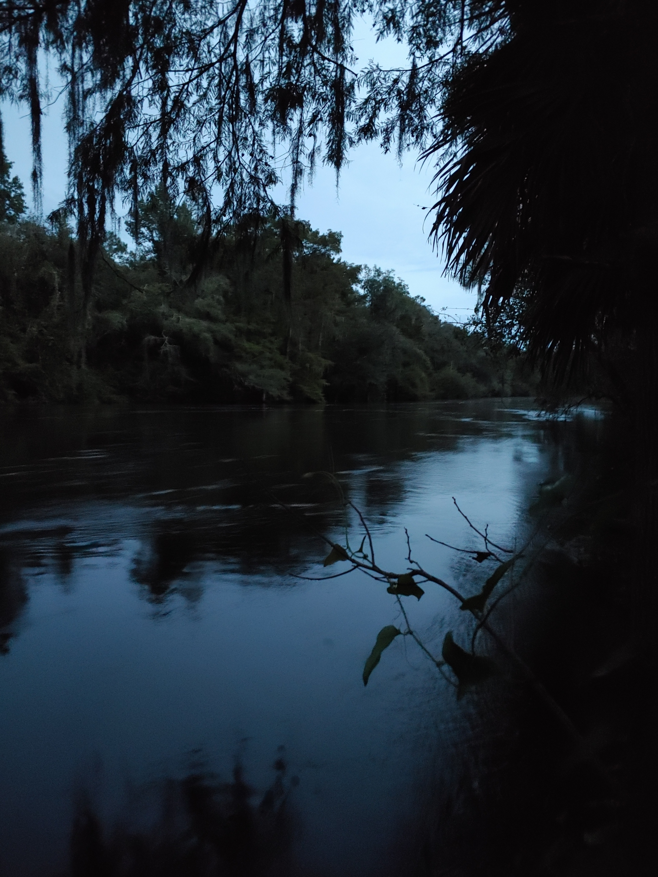 Cleary Bluff, Withlacoochee River @ NE Withla Bluffs Way 2021-09-15