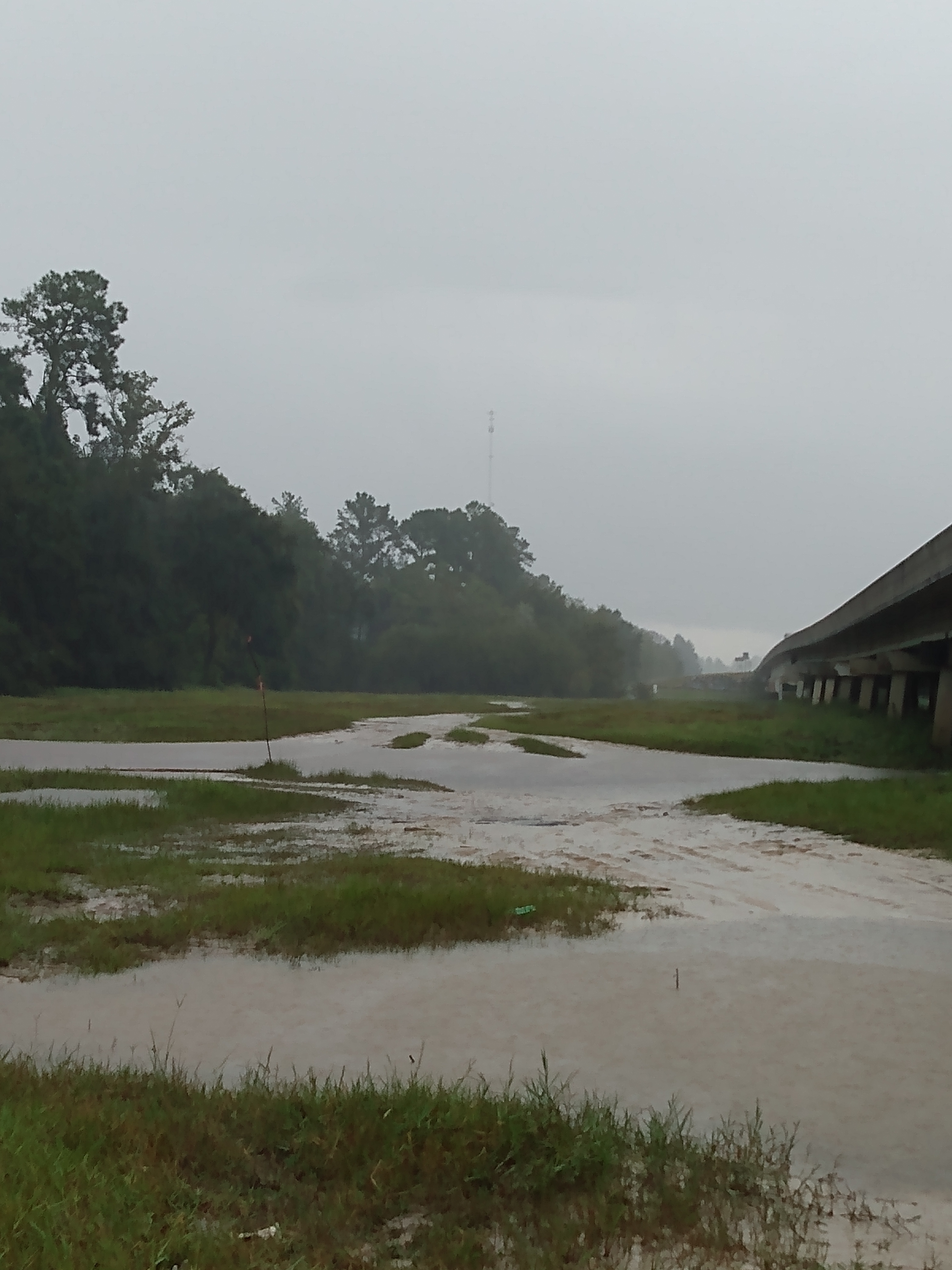 Willacoochee Landing, Alapaha River @ GA 135 2021-09-16