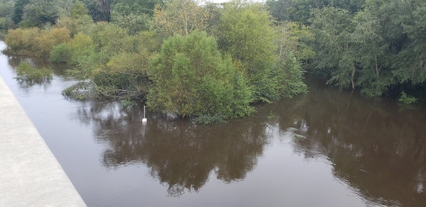 [Folsom Bridge Landing, Little River @ GA 122 2021-09-22]