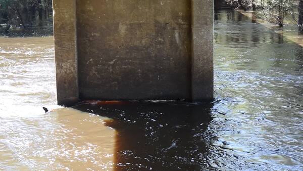 Movie: Nankin Boat Ramp, Withlacoochee River @ Clyattville-Nankin Road 2021-10-14