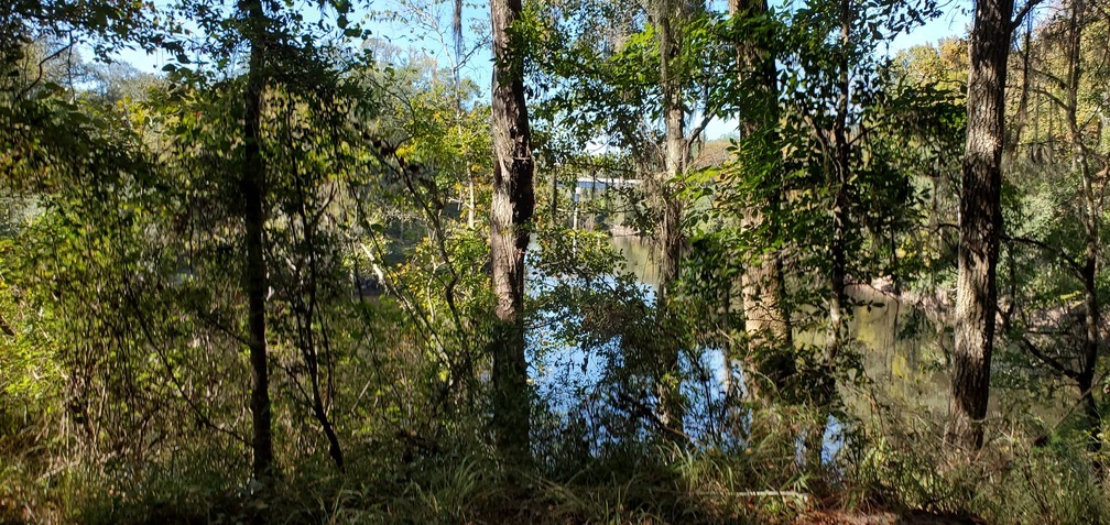 Horn Bridge pillars upstream