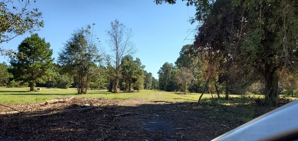 Beaver Ridge Rd @ Mckinnon Dr., looking southeast, 14:03:10, 31.0622667, -83.1930059