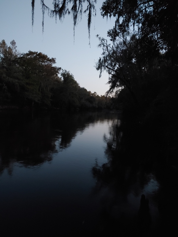 [Cleary Bluff, Withlacoochee River @ NE Withla Bluffs Way 2021-11-03]