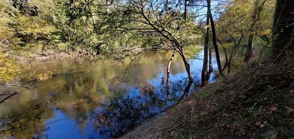 Downstream, Alapaha River, 14:00:33, 30.5798772, -83.0391141