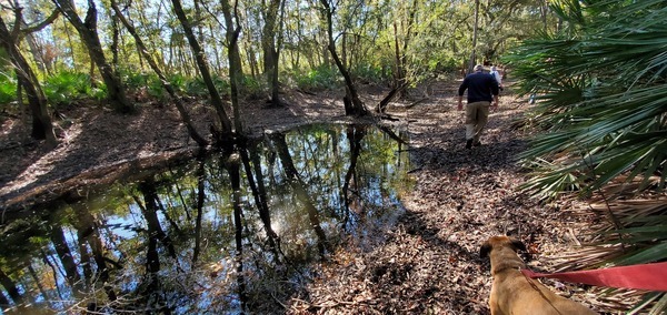 Along a puddle, 14:57:06, 30.5845933, -83.0474377