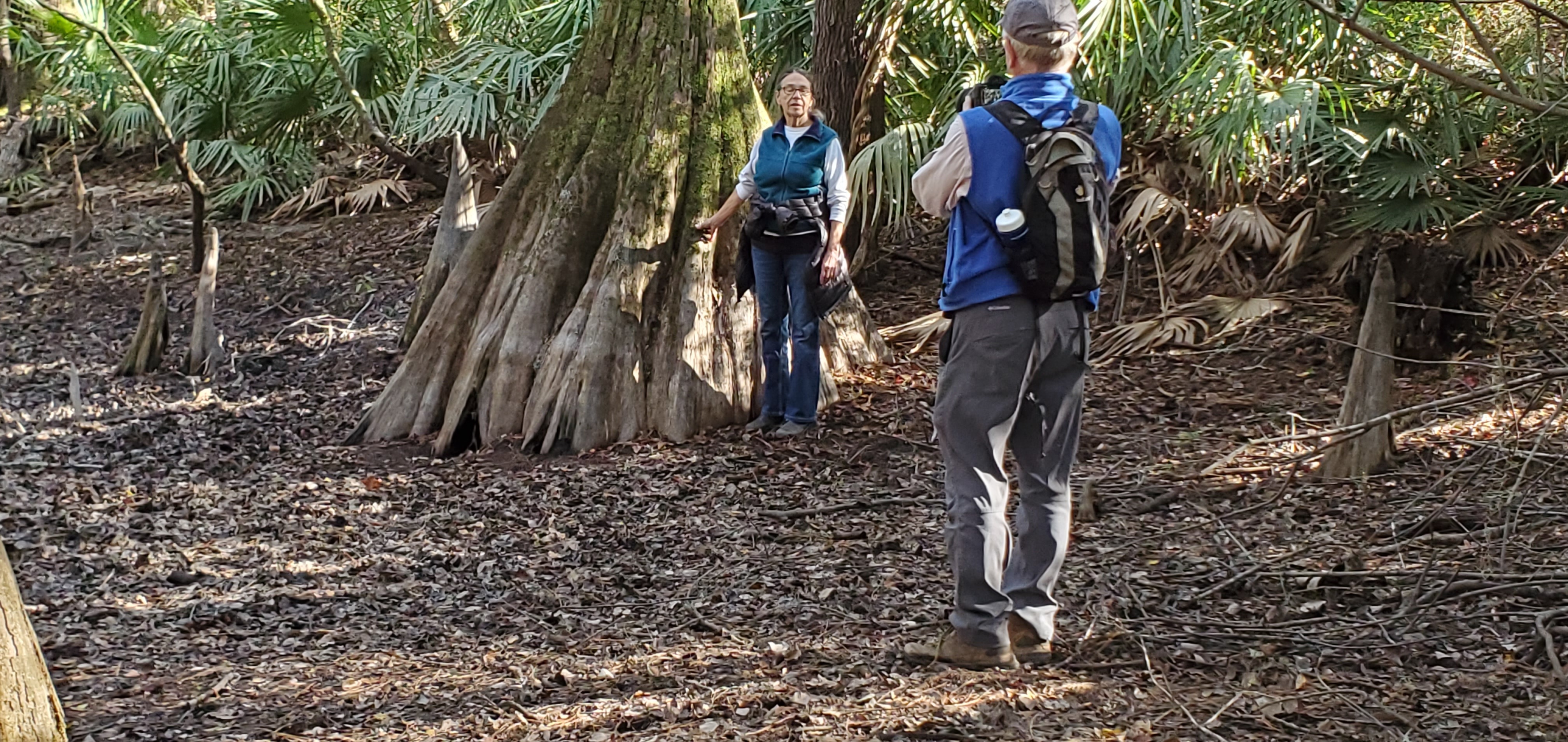 Dottie likes this cypress, 14:58:13, 30.5846535, -83.0475477