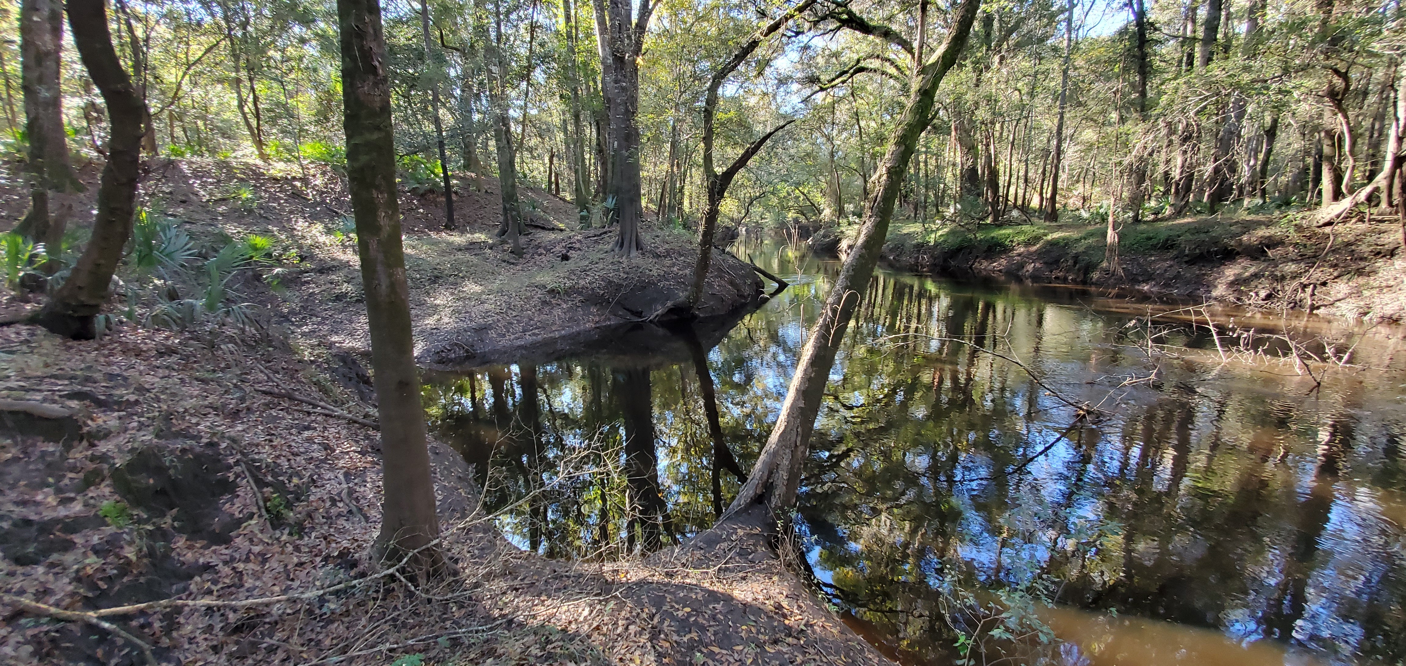 Cleft in riverbank, 15:13:11, 30.5838238, -83.0527914