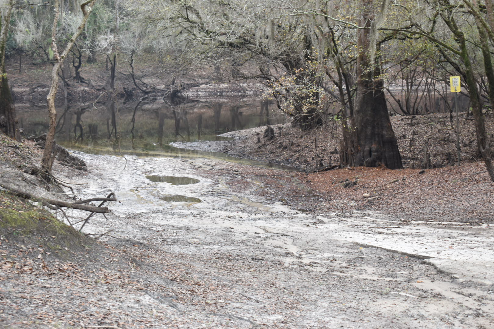 Knights Ferry Boat Ramp, Withlacoochee River 2021-12-09