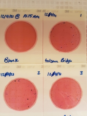 [Plates, Folsom Bridge Landing 2021-12-02]