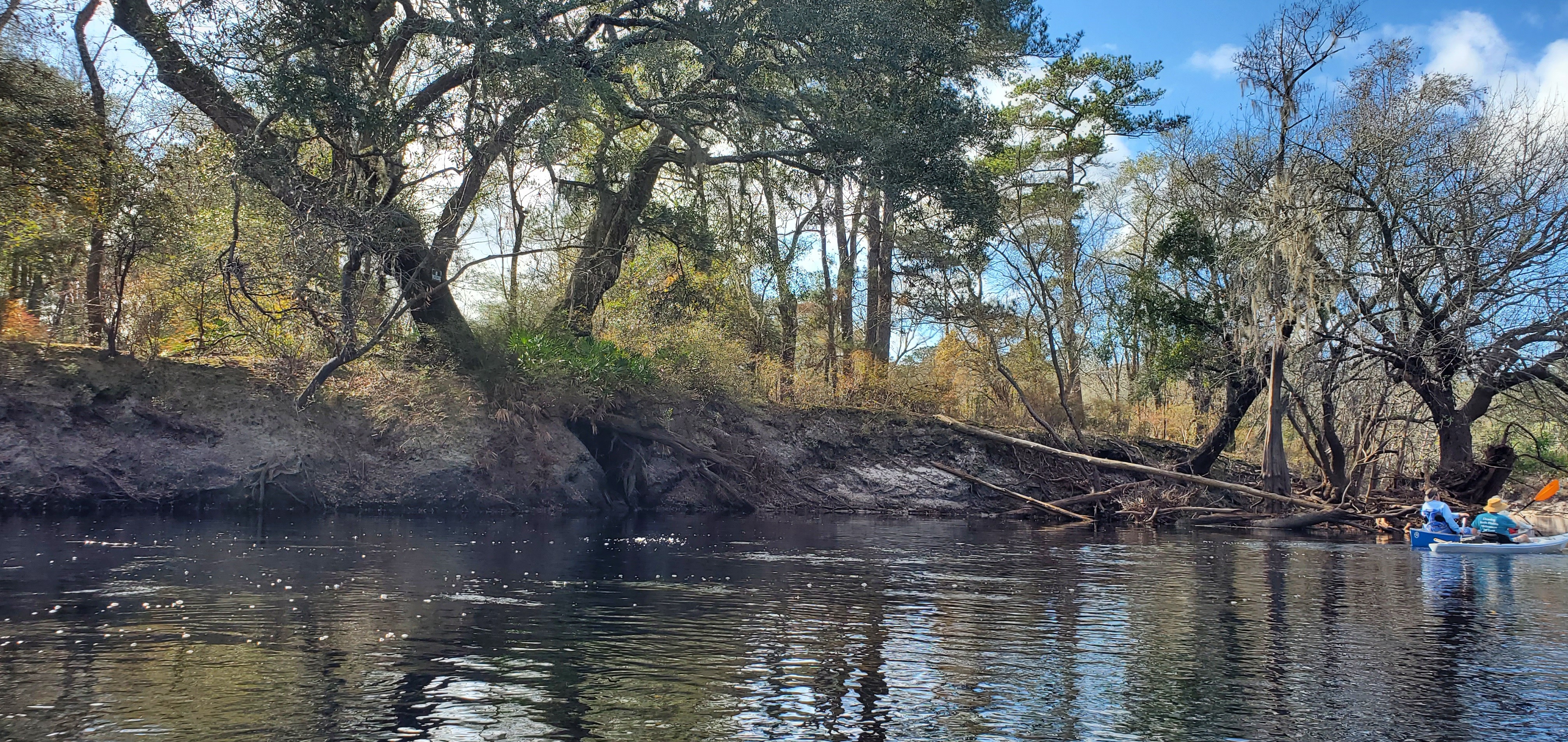 Wrested vegetation and deadfalls, 11:44:18, 30.5511339, -82.7218809