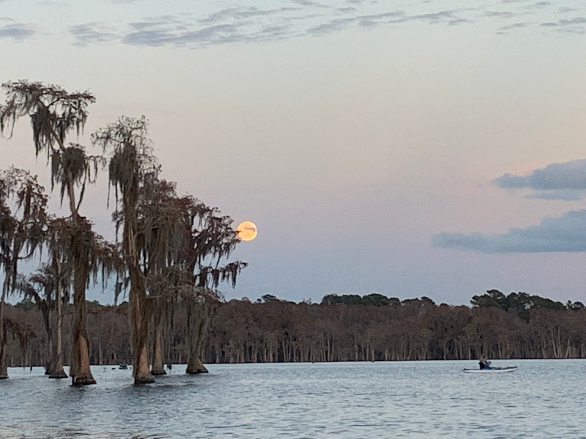 Moonrise --Shirley Kokidko