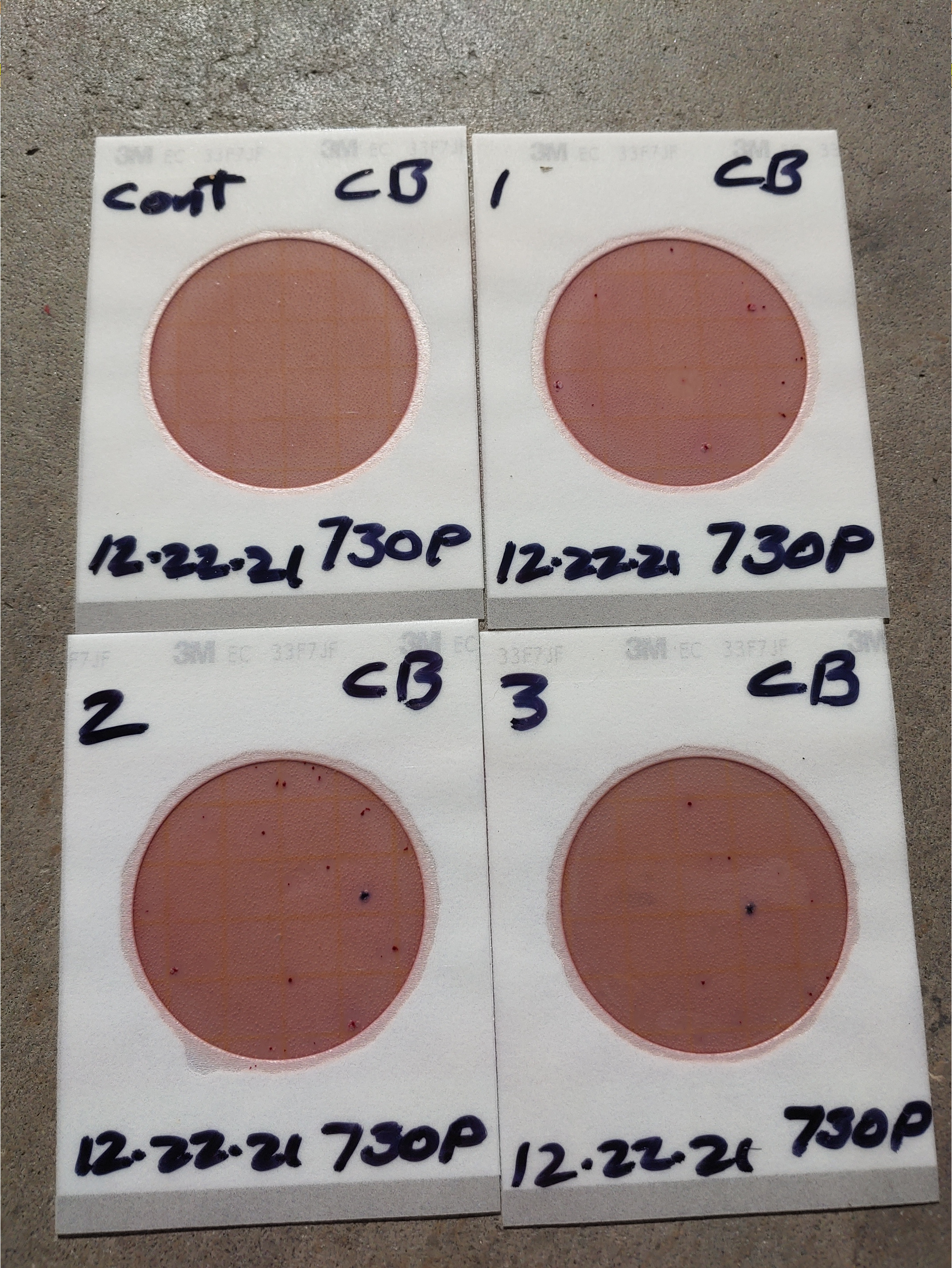 Plates, Cleary Bluff 2021-12-23