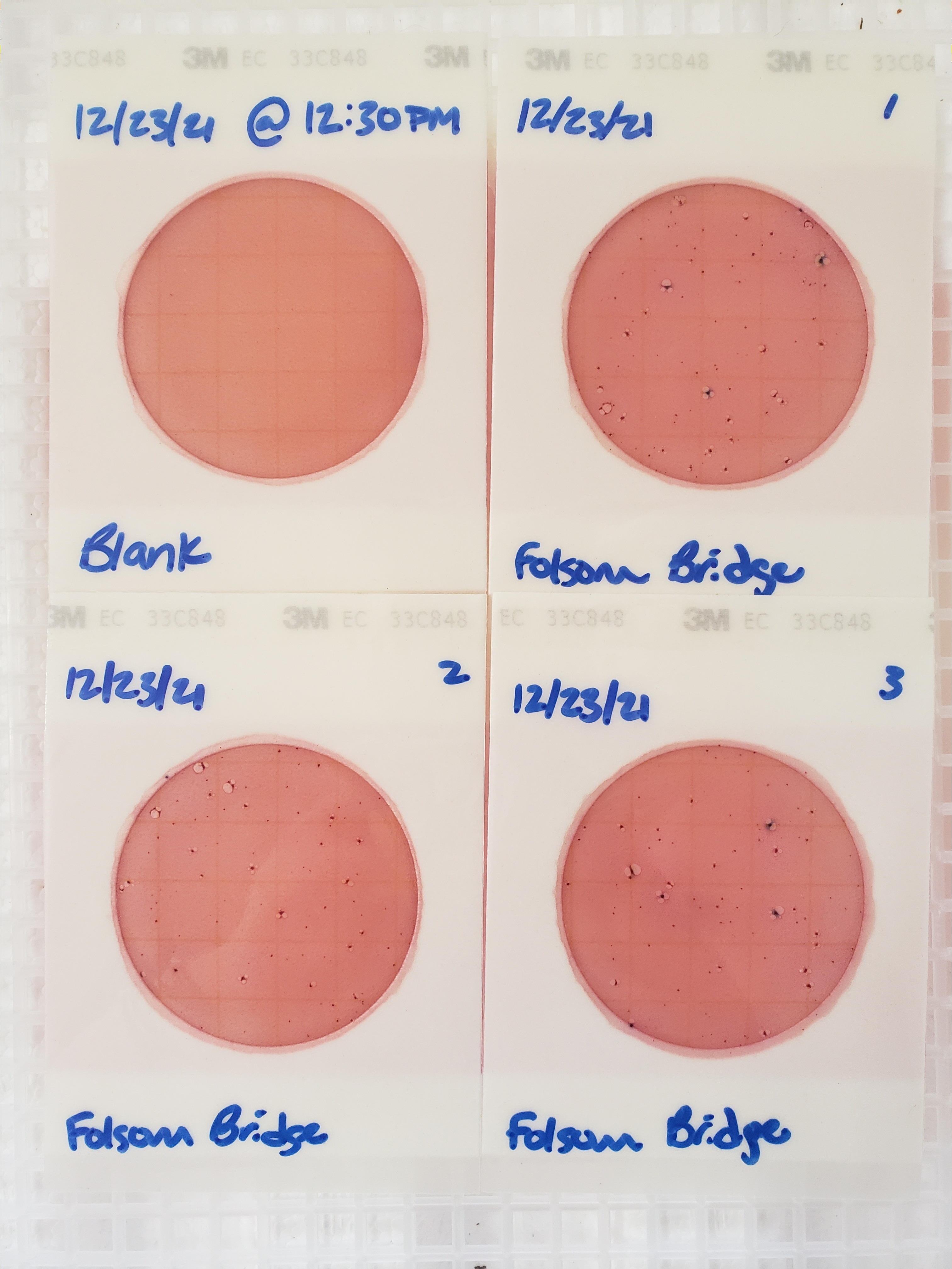 Plates, Folsom Bridge Landing 2021-12-23