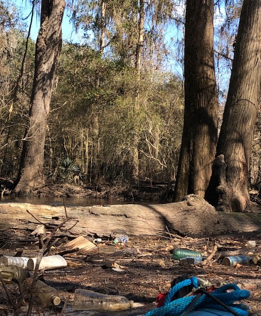 Log trash jam about 100 feet from Little River Confluence, at site of proposed Troupville River Camp