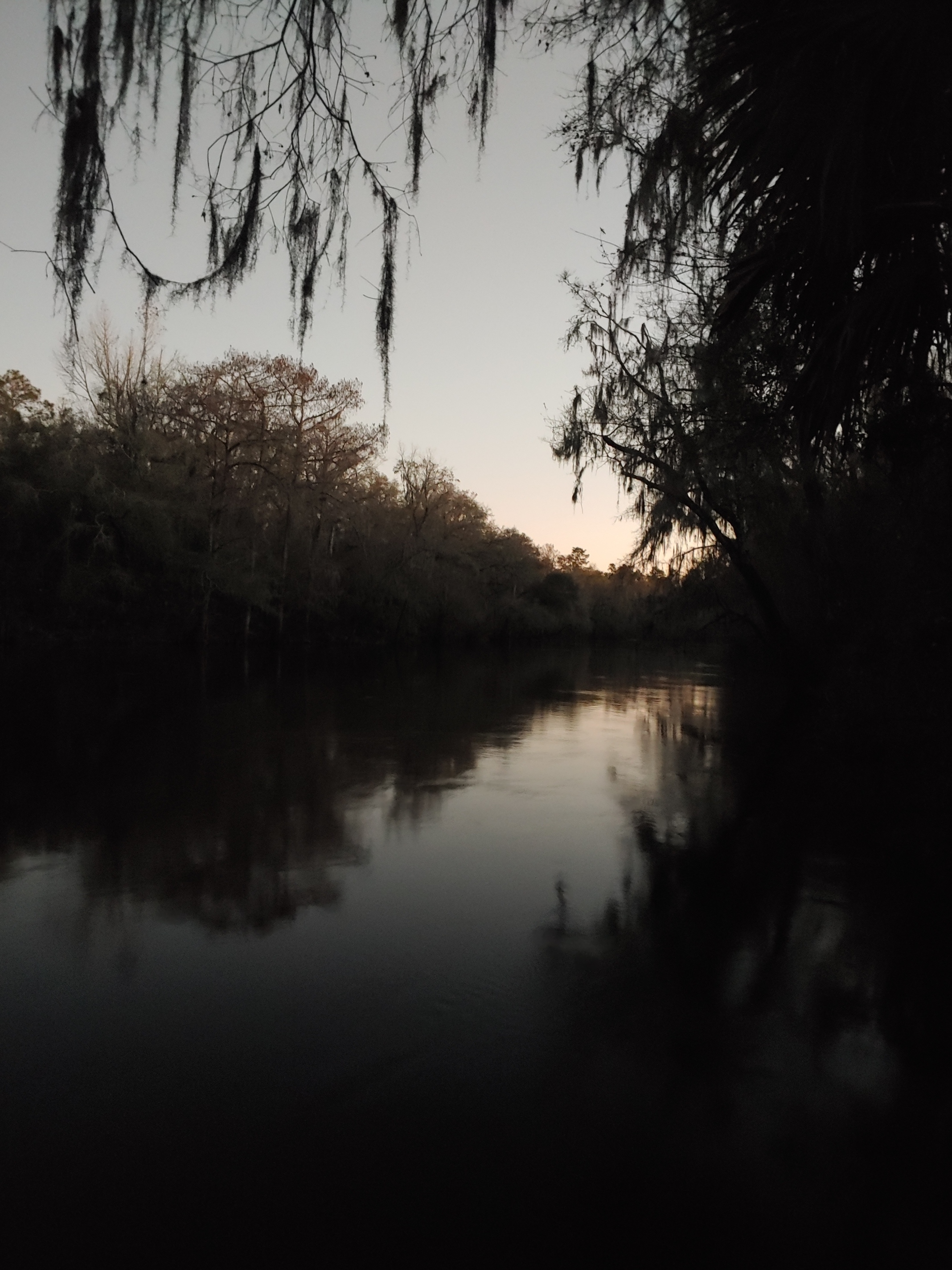 Cleary Bluff, Withlacoochee River @ NE Withla Bluffs Way 2022-01-26