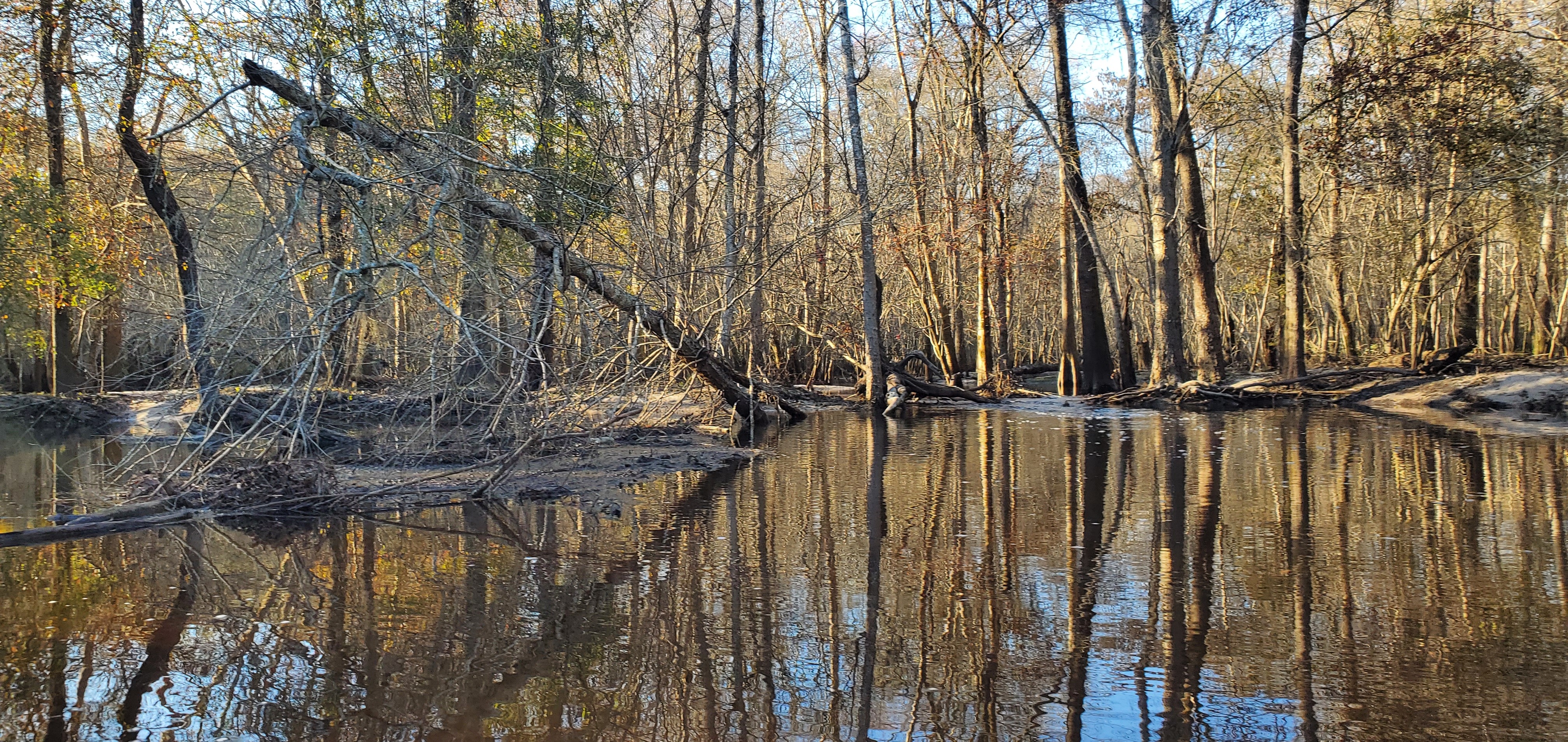 Withlacoochee River, 16:44:00, 30.8637040, -83.3197517