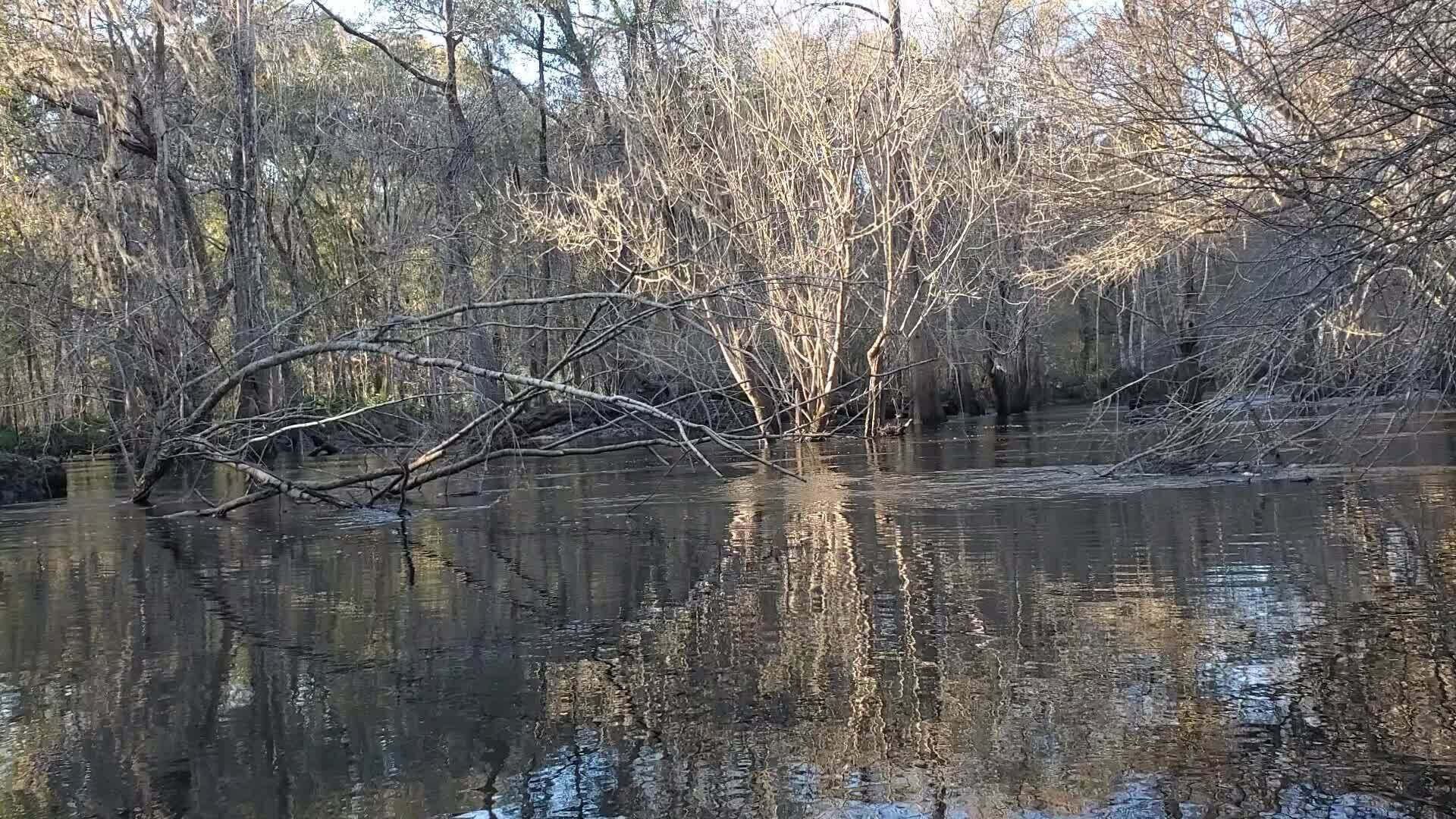 Movie: Flowing Withlacoochee River, 16:45:02, 30.8642050, -83.3200383 (24M)