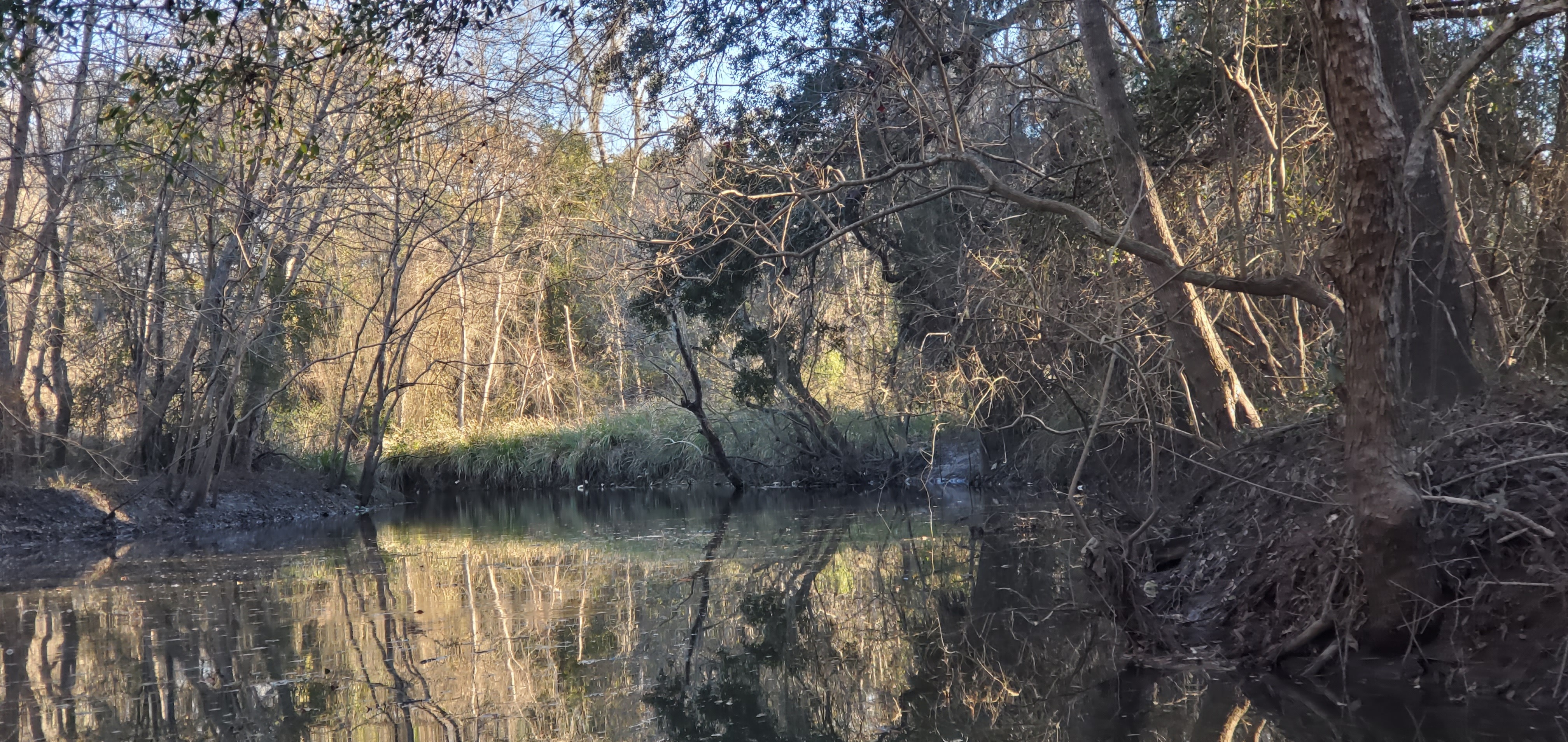 Sugar Creek Confluence, 16:50:02, 30.8640078, -83.3200197