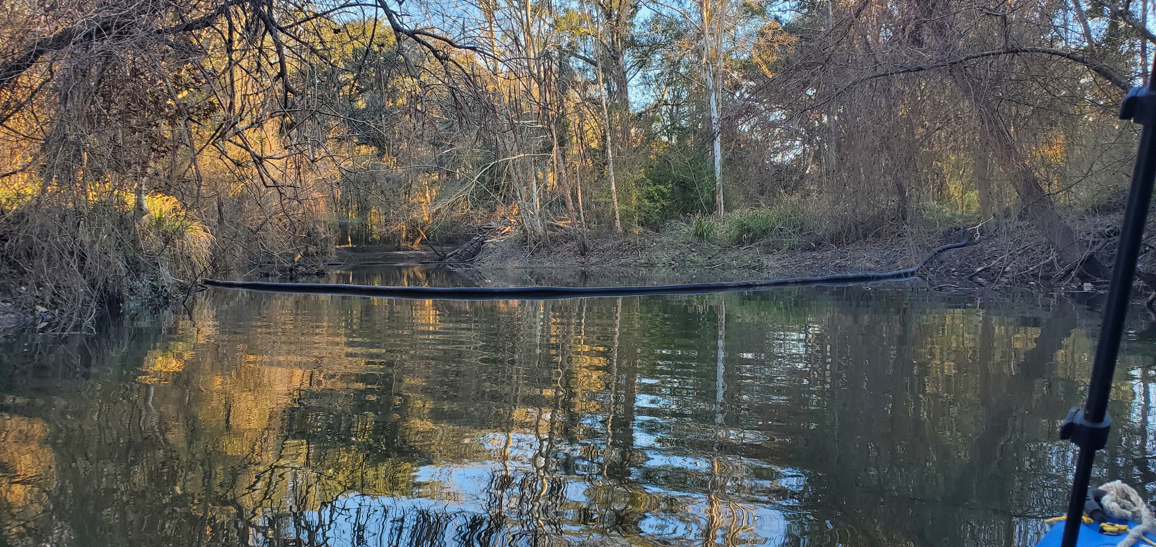 Two booms upstream, 16:55:17, 30.8626317, -83.3188678