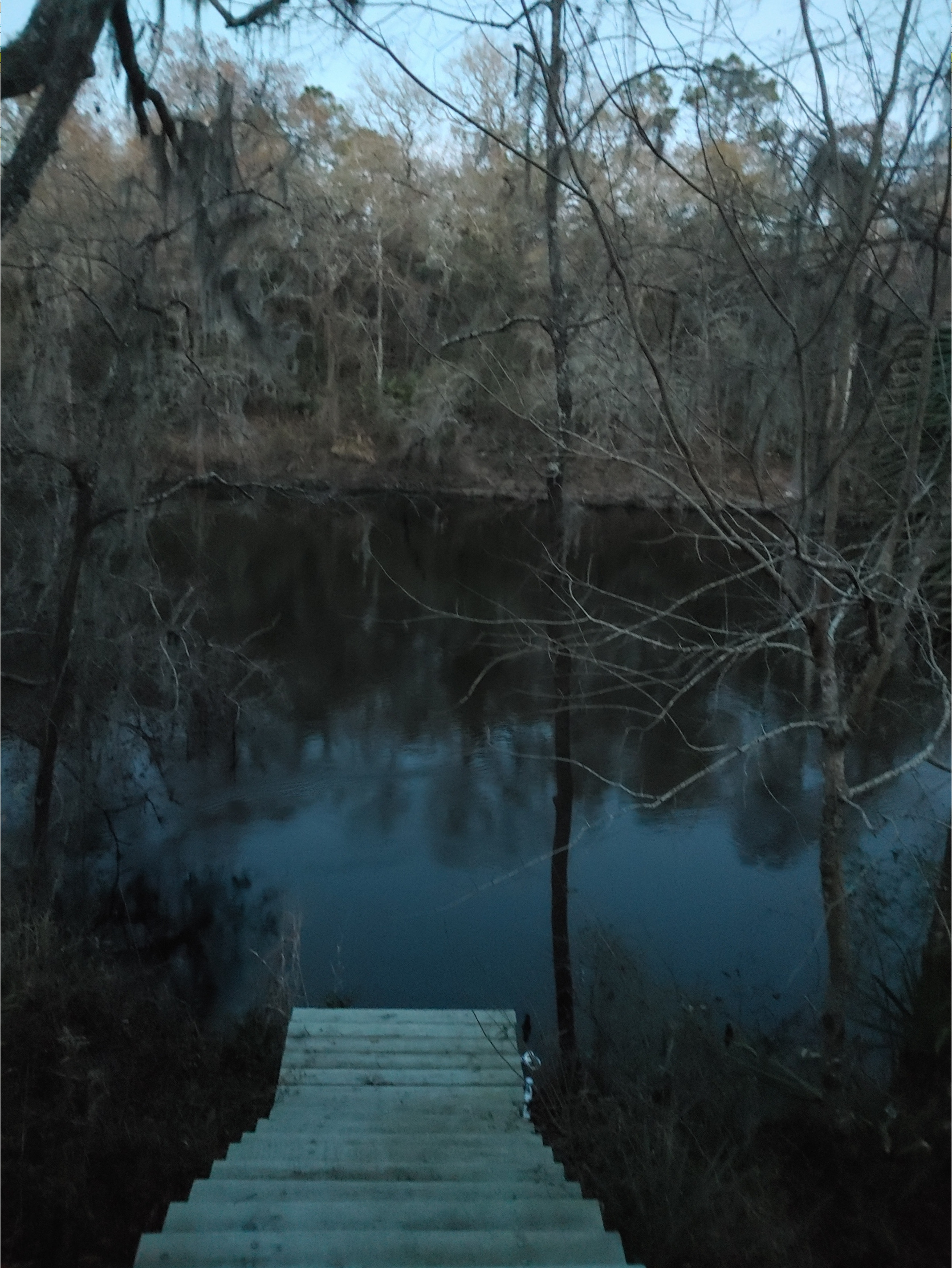 Cleary Bluff, Withlacoochee River @ NE Withla Bluffs Way 2022-02-02