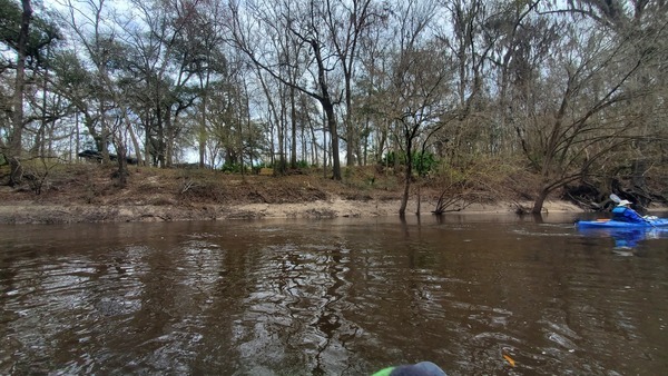 [Bench on left (east) bank, 13:33:50, 30.4495, -83.0918]