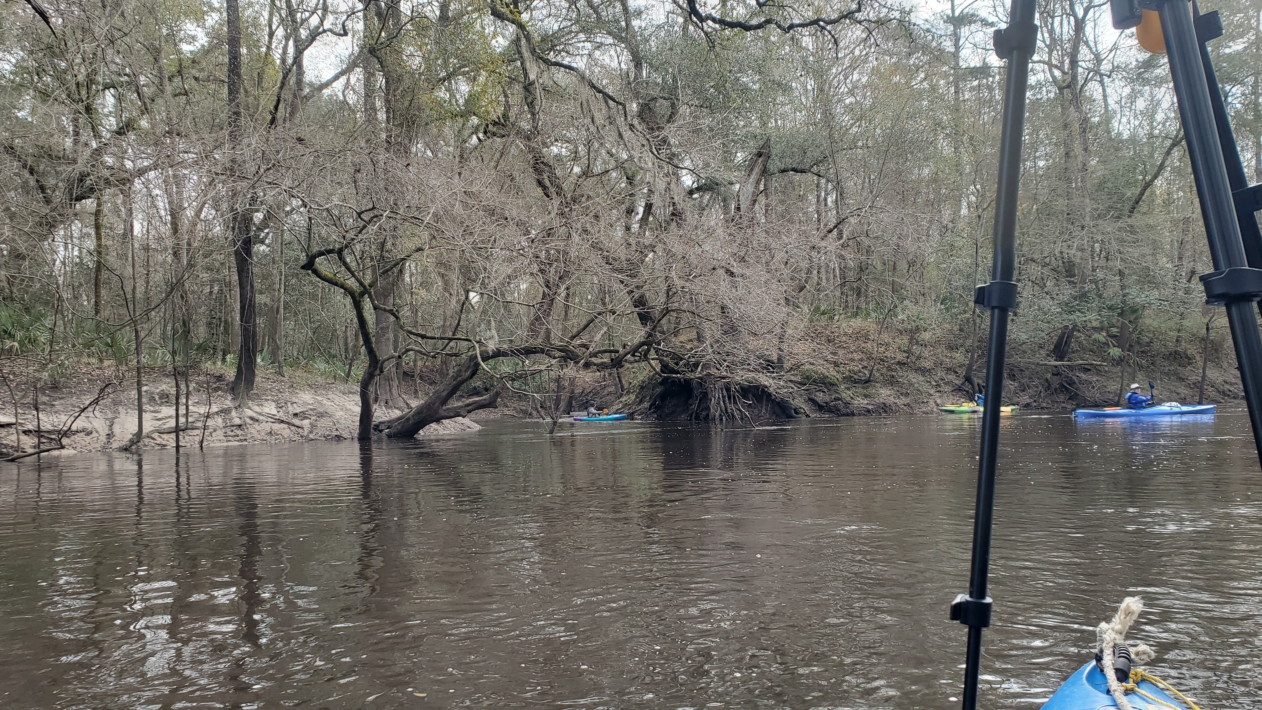 Little Alapaha River, 11:07:41, 30.5015825, -83.0383995